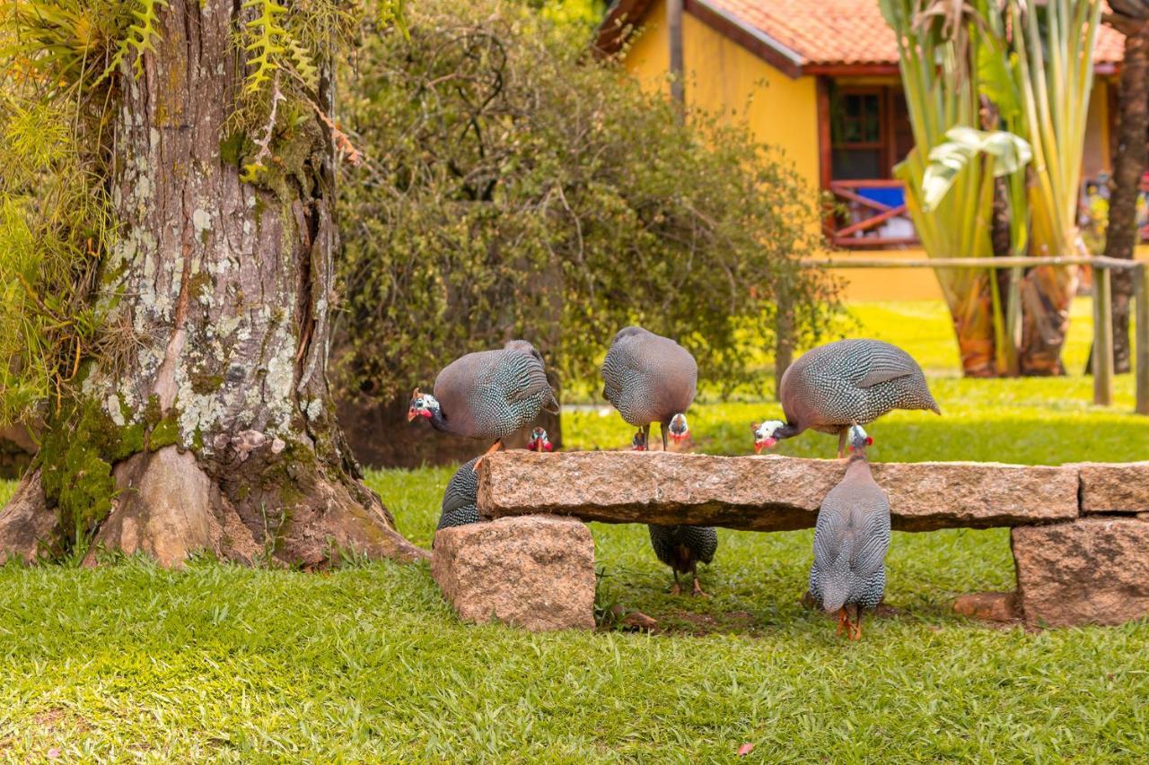 Hotel Fazenda Jacauna Brotas Εξωτερικό φωτογραφία